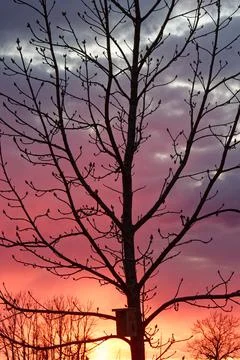 Sunset Stock Photos