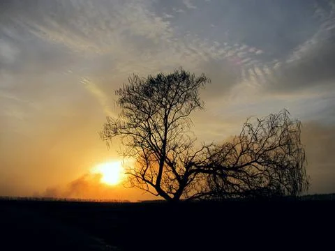 Sunset Stock Photos