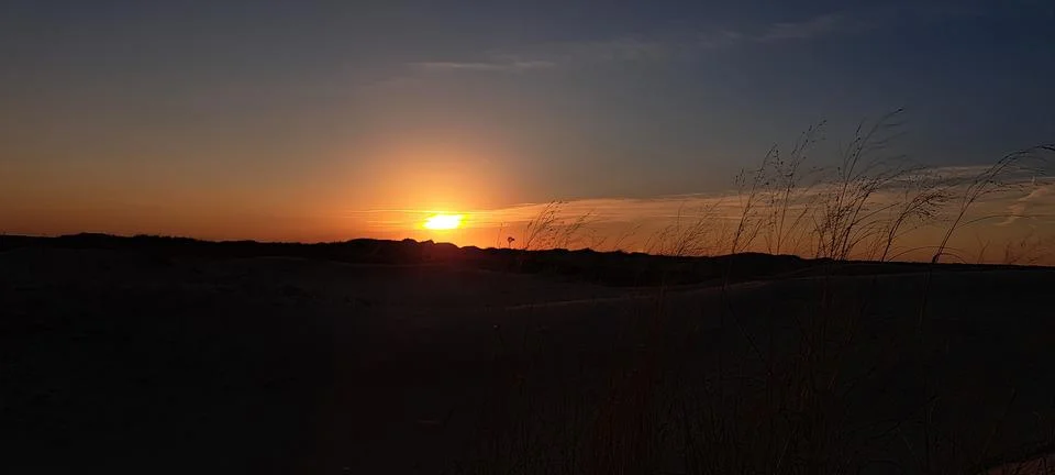 Sunset Фото