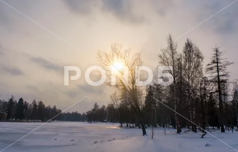Sunset Photos