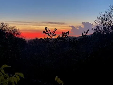 The sunset Stock Photos