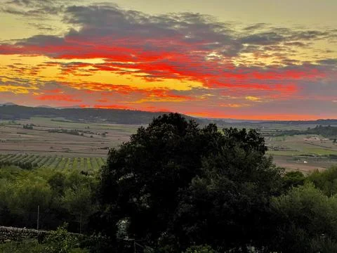 The sunset Stock Photos