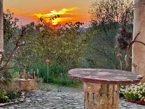 The sunset Stock Photos