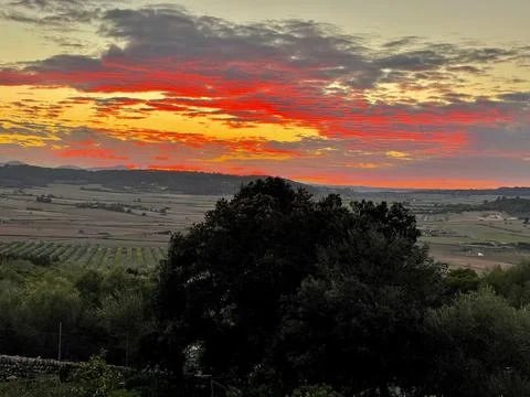 The sunset Stock Photos