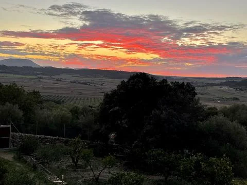 The sunset Stock Photos