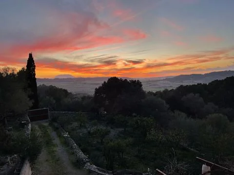 The sunset Stock Photos