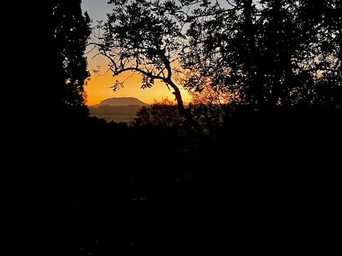 The sunset Stock Photos