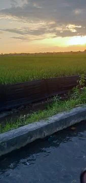 The Sunset Foto stock