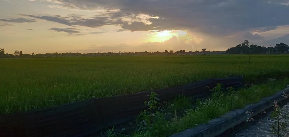The Sunset Stock Photos