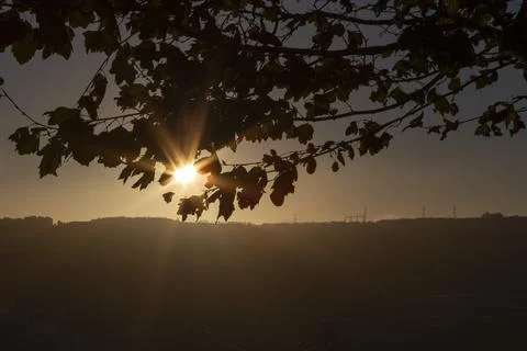 Sunset Stock Photos