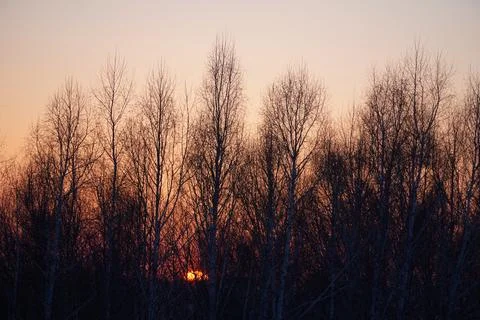 Sunset Stock Photos
