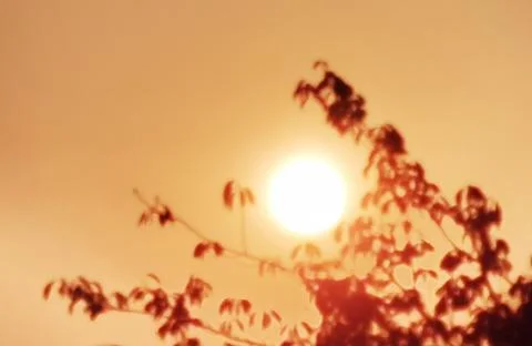 Sunset Stock Photos