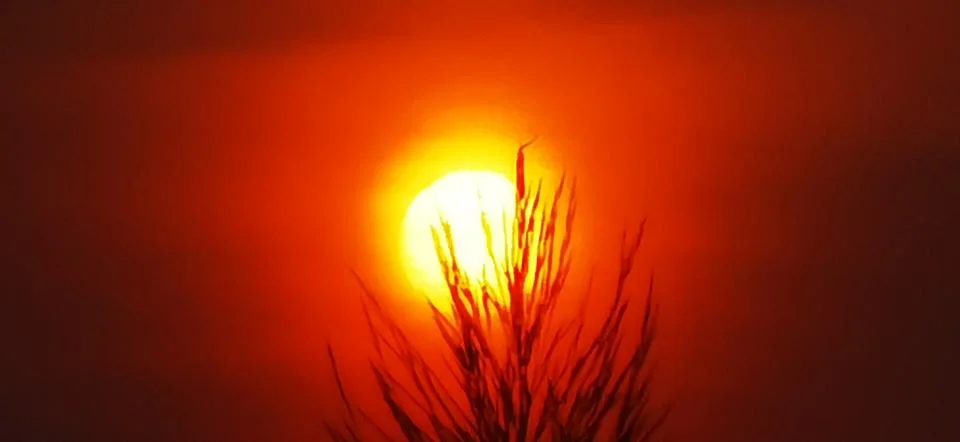 Sunset Stock Photos