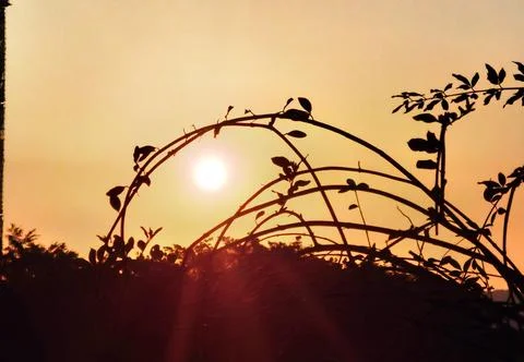 Sunset Stock Photos