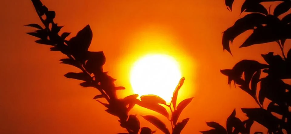 Sunset Stock Photos