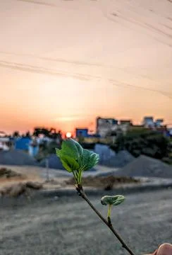 Sunset 스톡 사진