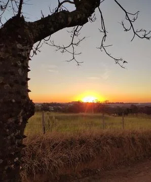 Sunset Fotos de archivo