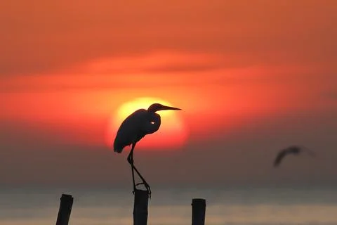 Sunset Stock Photos
