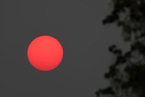 Sunset 스톡 사진