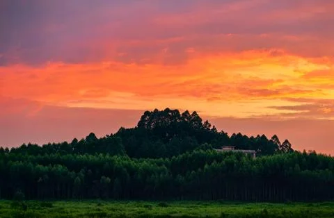 Sunset Stock Photos