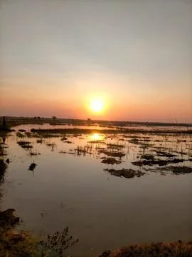 Sunset Stock Photos