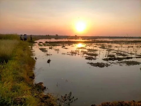 Sunset Stock Photos