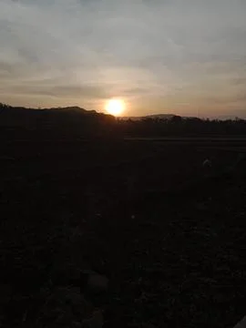 Sunset photo Foto stock