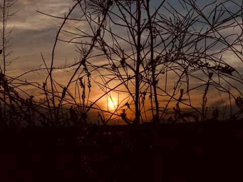 Sunset Pictures Foto stock