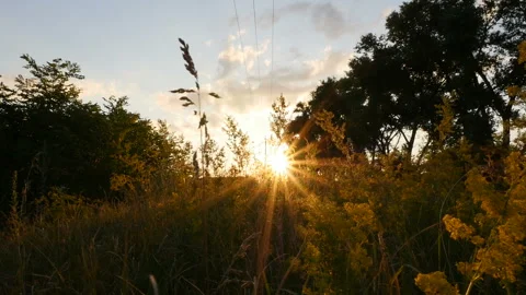 Sunset in a picturesque place. Bright rays from the sun. Camera moves Stock Footage 119786670
