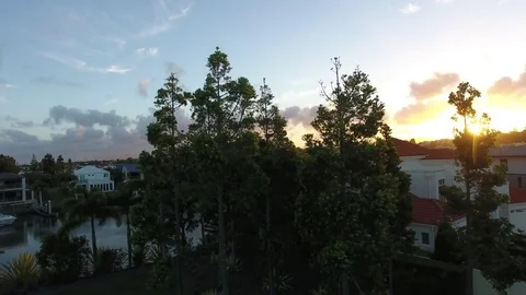 Sunset is piercing through a tree in suburbia Stock-Footage 73382004