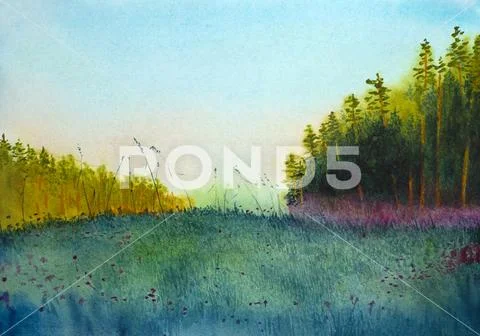 Sunset pine and grass Stock Illustration