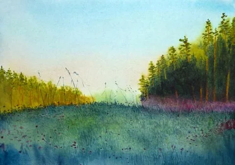 Sunset pine and grass Stock Illustration