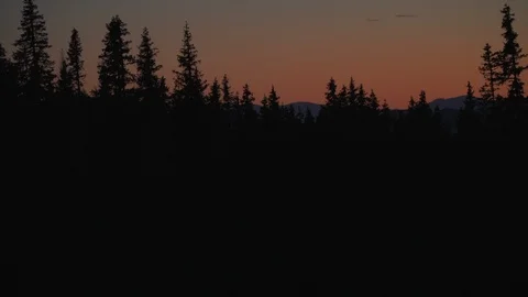 Sunset with pine trees and mountains Stock Footage 100521011