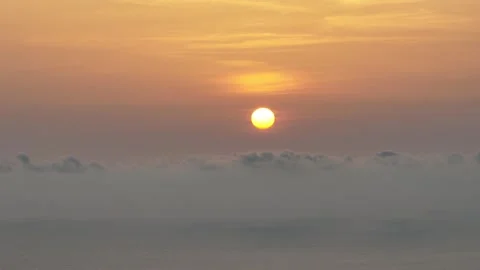 Sunset pine trees, olive groves and sea view on a greek island. Mediterrane.. Video stock 309918339