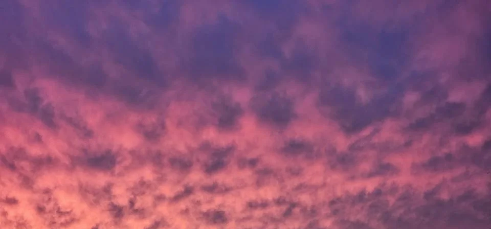 Sunset Pink 스톡 사진
