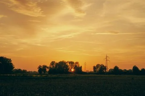 Sunset on the plain, among the trees Stock Photos