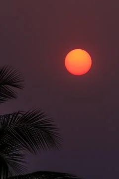 Sunset with Plam leaf Stock Photos