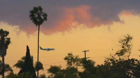Sunset with plane crossing the frame. Stock Footage 89950239