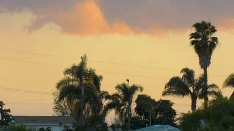 Sunset with plane crossing the frame. Vidéo 89950564