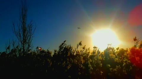 Sunset with plane flying Stock Footage 33801873