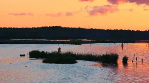 Sunset the poisoned polluted lake Video stock 21466603