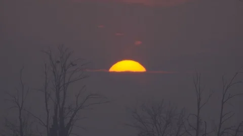 Sunset, Pollution and Birds on Trees Stock Footage 101279898