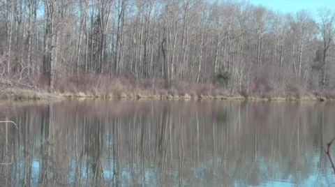 Sunset Pond 1 - Trees Reflection Stock Footage 636276