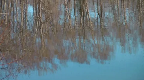 Sunset Pond 3 - Trees Reflection Stock Footage 636271