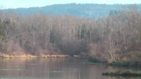 Sunset Pond 4 Stock Footage 636269