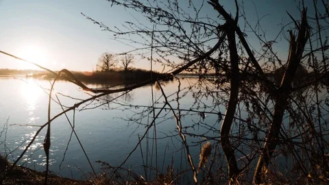 Sunset at the pond. A flock of ducks Stock Footage 104735853