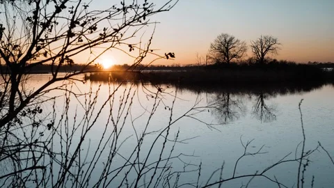 Sunset at the pond. A flock of ducks Stock Footage 104736011