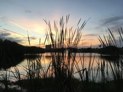 Sunset on Pond Stock Photos