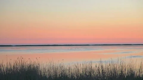 Sunset at the pond seashore with flock of ducks Stock-Footage 8366173
