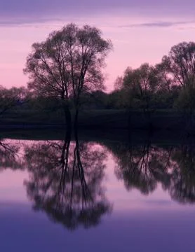 Sunset pond trees reflections Stock Photos
